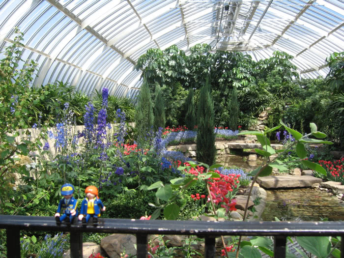 Phipps conservatory