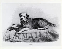 Owney, the dog